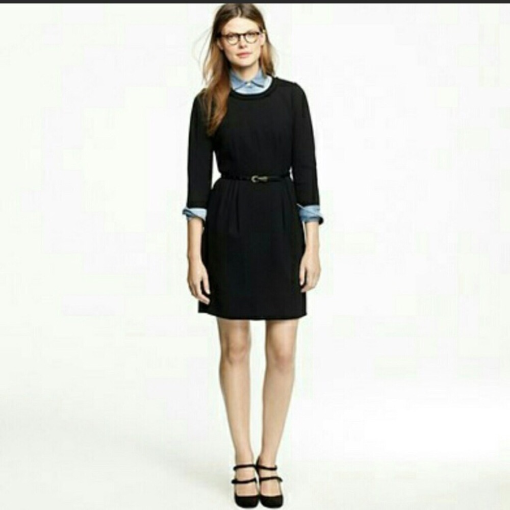 ⚡️J. Crew Teddie Dress